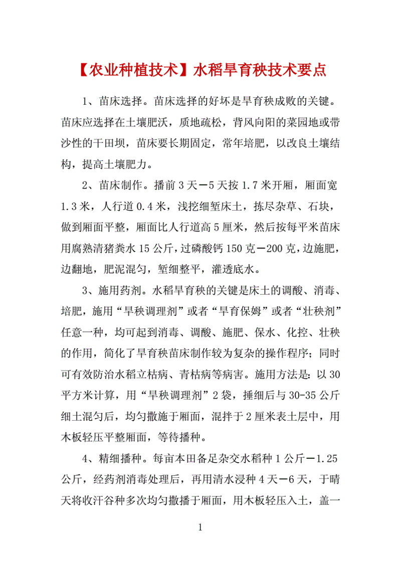 如何选择合适的艺术培训机构?——以莘禾艺术为例