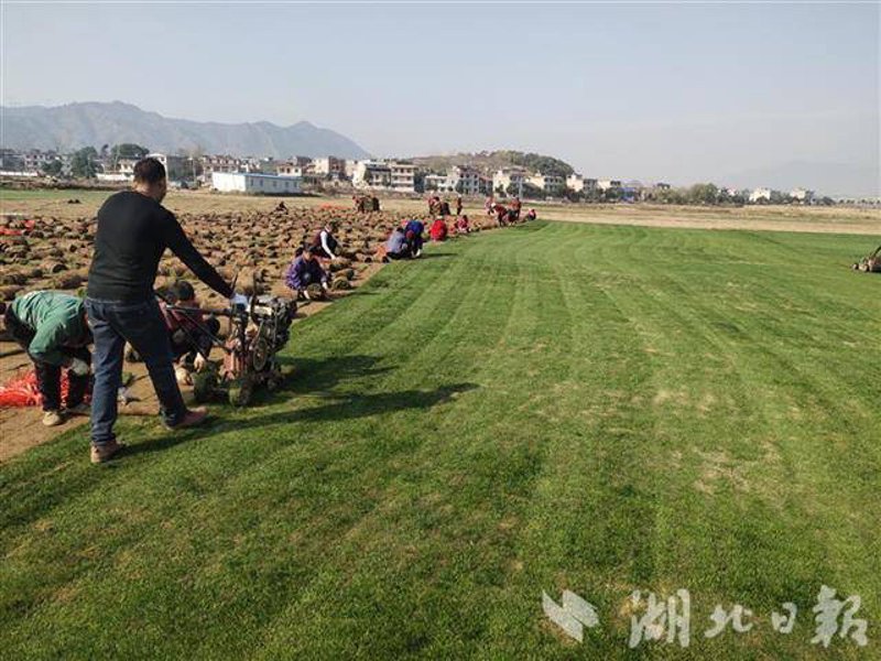 莘禾,这个词汇在日常生活中并不常见,但对于教育行业从业者来说,它却有着特殊的含义。莘禾指的是教育科技公司“莘禾教育”,致力于通过创新技术手段提升教学质量。